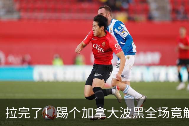 拉完了！踢个加拿大波黑全场竟解围71次 史上第四尴尬