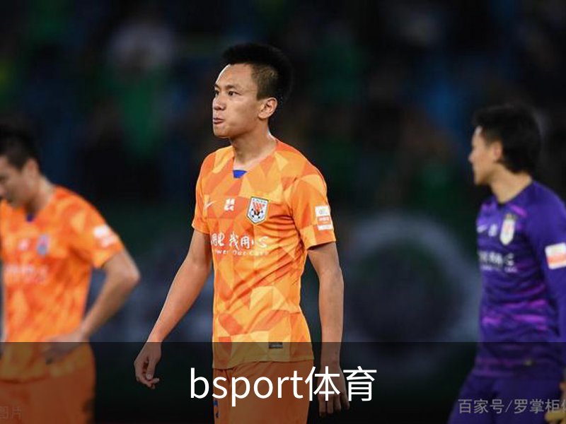 bsport体育概况